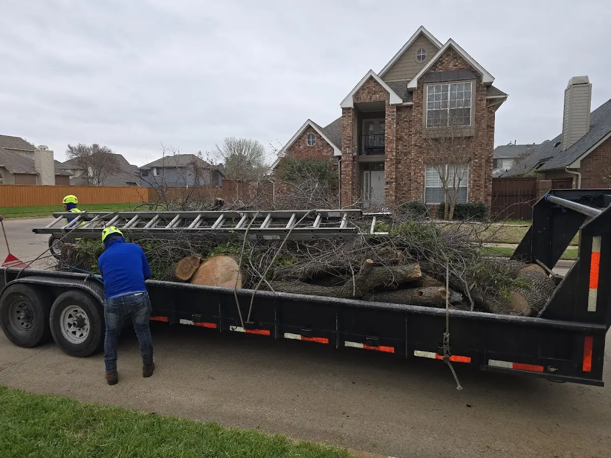 Expert Lot Clearing with proper safety equipment in Big Spring